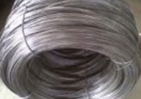 Spring Wire